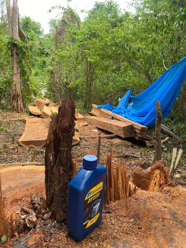 POLICIA CIVIL DE PONTALINA DESVENDA OUTRO CRIME AMBIENTAL.