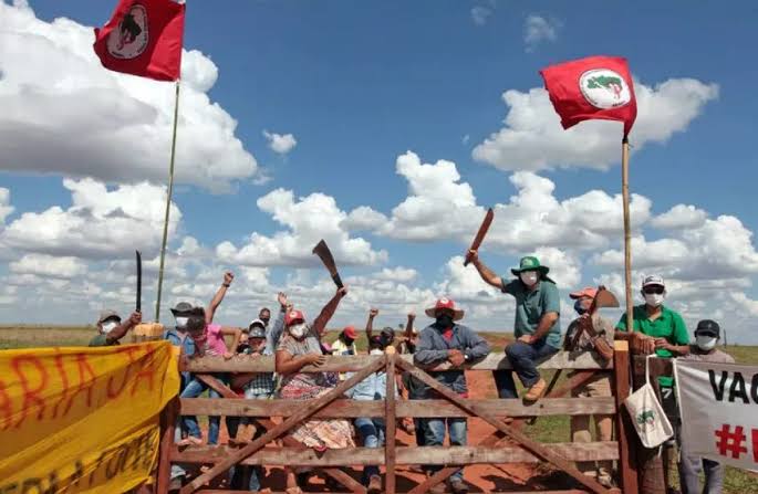 ​MST invade fazendas e causam prejuízos para produtores de leite.